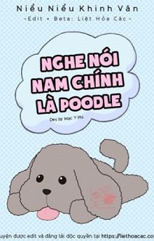 Nghe Nói Nam Chính là Poodle