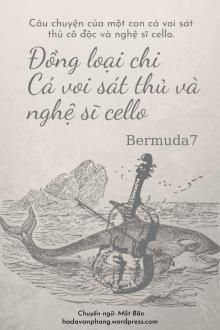 Đồng Loại Chi Cá Voi Sát Thủ Và Nghệ Sĩ Cello