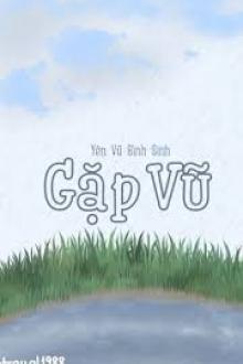 Gặp Vũ