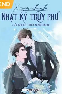 Xuyên Nhanh Nhật Ký Truy Phu